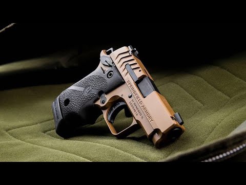 These 10 CCW Pistols will Dominate the Market in 2024