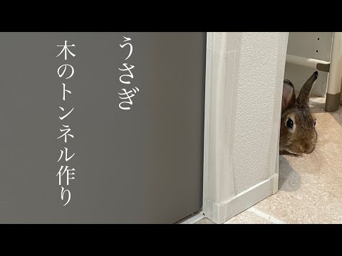 【日曜大工初心者】木のトンネルをウサギに作る