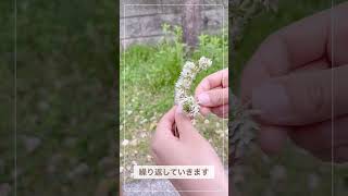 【花の冠】子どもが喜ぶ！シロツメクサの冠 #craft #diy #保育ネタ #flower #保育園