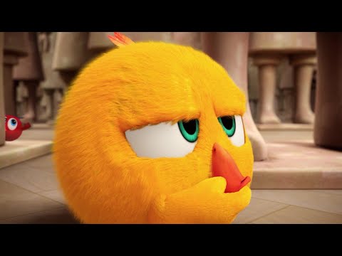 Where's Poyo hiding? | Where's Chicky? | Cartoon Collection in English for Kids | New episodes HD