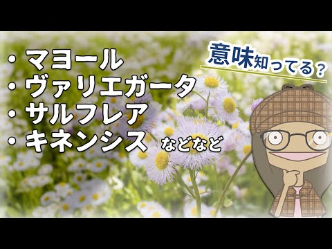 【🔰意味知ってる？】名前から植物を知る面白さ｜植物知識