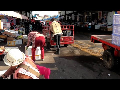 中国云南最大热带水果批发市场全程街拍，榴莲贵的咬卵