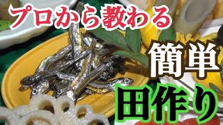 【簡単おせち】プロから教わる田作り。意外に簡単！あっという間に出来ちゃう、優しい甘さの田作りです。