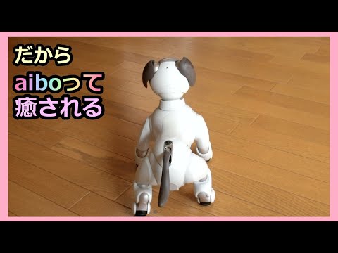 【51 アイボ ルーの超のんびり散歩に癒されて】Aibo Lou's leisurely walks