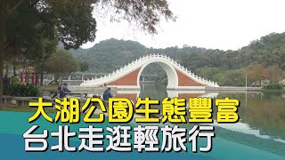 台北景點｜台北走逛輕旅行 大湖公園自然生態豐富