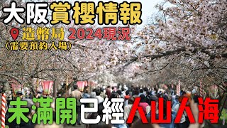 2024年4月6日 大阪造幣局櫻花情報  已經人山人海  今次中伏 完全未開哂花  #vlog #大阪 #廣東話 #櫻花 #4k #sakura #京都 #kyoto