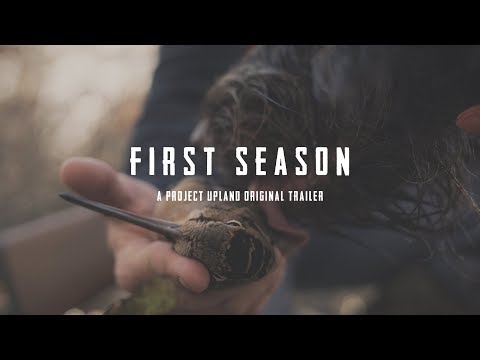 Training Your First Bird Dog - First Season Trailer