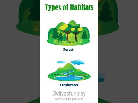 types of habitats - #shorts - #diyasfunplay - habitat types