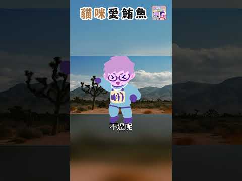 貓咪愛鮪魚｜一分鐘科學新鮮事 EP70 #shorts