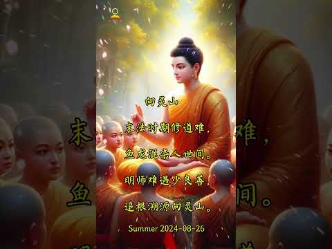 以佛为师 以法为师 以经为师 以戒为师#南无本师释迦牟尼佛  #buddha #佛教 #南无阿弥陀佛