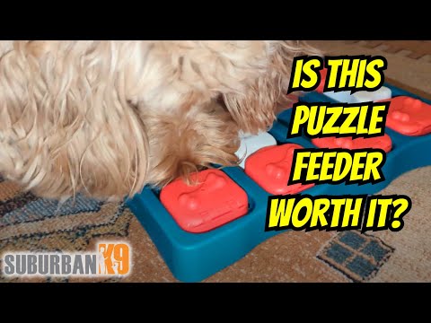 Outward Hound Brick Puzzle Toy Review