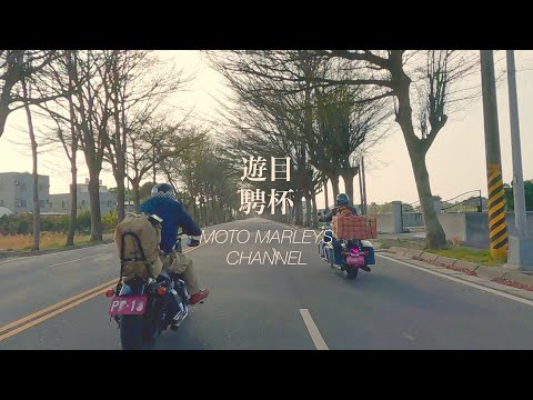 你有看過這麼帥的柴柴嗎？騎車賞嘉義田園風光 | 俗女村 | 田中廟 | 哈雷重機 | Sportster XL1200N 883N