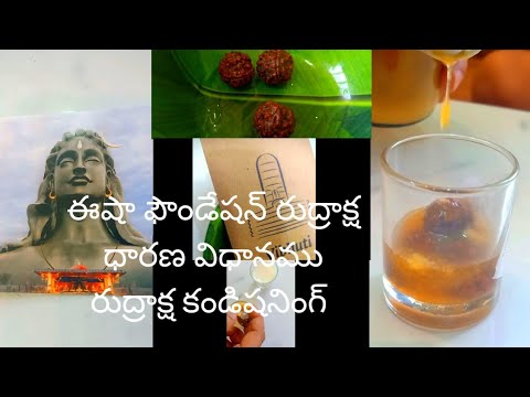 ఈషా ఫౌండేషన్ రుద్రాక్ష ధారణ విధానము||Isha foundation Rudraksha how to conditioning before wearing