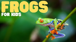 Frogs for Kids | Learn all about these slimy amphibians