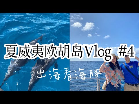 夏威夷欧胡岛旅行攻略vlog#4 双体船Catamaran 出海看海豚｜欣赏夏威夷海岸线 Makani Catamaran Tour, Oahu Hawaii Travel Vlog