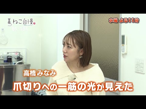 11/27(水)よる11時「ねこ自慢」猫と美容スペシャル！高橋みなみ・倉持明日香がお手入れのプロに爪切りとシャンプーのコツをきく！