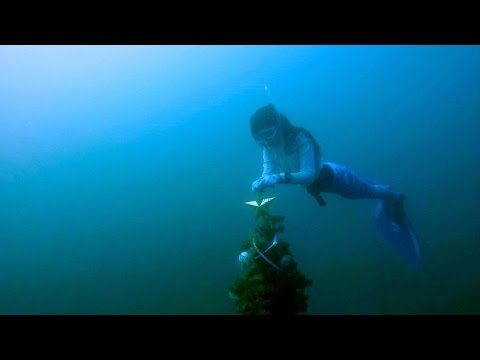 Freediving - Merry X'mas! Ose, December 2016