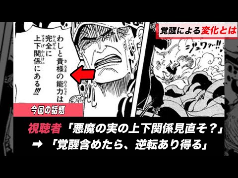 【ワンピース】実の上下関係が見直されています。