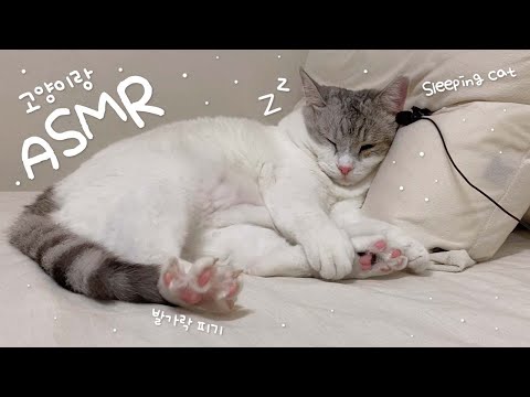 [2탄] 고양이랑 ASMR 비슷한 거 하기💤(백색소음, 생활소음, 브러쉬)ㅣWhite NoiseㅣBrushㅣcat