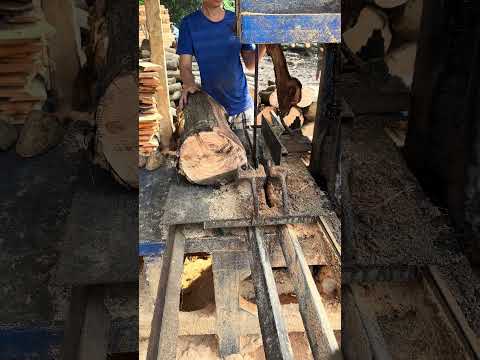 Wood cutting #woodworking #wood #shortvideo #woodindustry #tools #machine #woodshop #satisfying