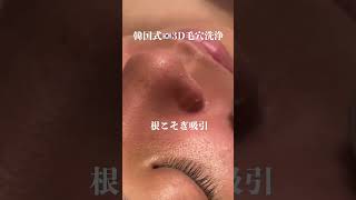 TikTokで1100万回再生した話題の韓国式3D毛穴洗浄がすごすぎる　#shorts #毛穴 #blackheads