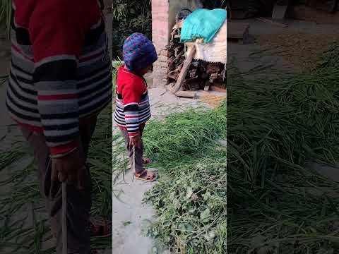 कितना काम करता है#cutebaby #tranding#ytshortsvideo #yttrending video 🐥🐥🐥🐥