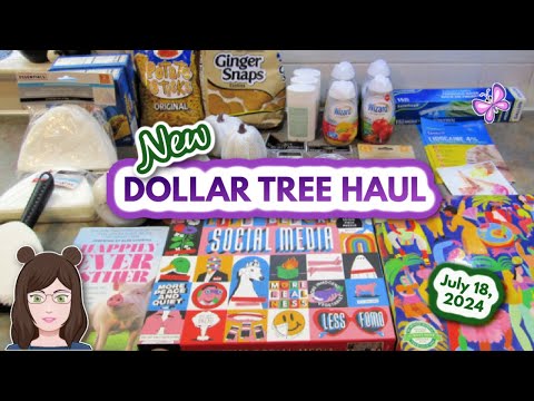 New Dollar Tree Haul! Awesome Finds!! July 18, 2024