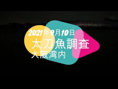 2021年9月10日 大阪港内 太刀魚調査