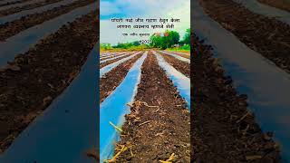 #2025 #reels #farming #shetakari #trending #shetkari #farmer #shetkaripattern #youtubeshorts