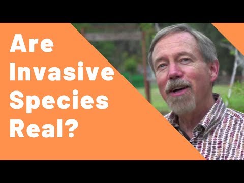 Are Invasive Species Real?