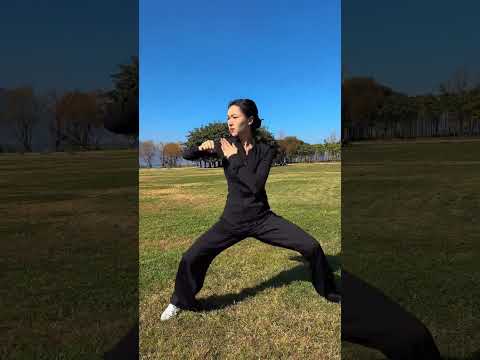 我与万物为一太极拳 内家拳 中国武术 沅芷太极