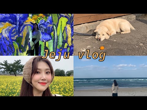 VLOG❄️| 겨울 제주도여행, 가족여행, 제주 롯데호텔,  모찌롱. 고집돌우럭. 빛의벙커. 테라로사. 동백수목원. 용눈이오름. 대우정