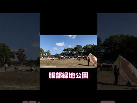 秋はやっぱりBBQ🍖 肉食べて公園で遊ぶぞ🛝#shorts