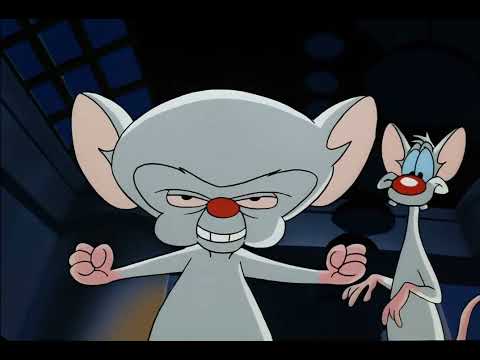 Pinky and the Brain - The Egyptian Plan