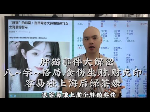 胖猫事件大解密八字格局食伤生财财克印容易碰上海后绿茶婊#传统文化 #星座 #易经 #八字#李居明 #八字教學