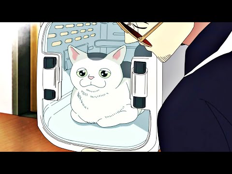 Taking the 🥚🥚 Away - The Way of the Househusband [Eng Dub] (ONA - 2023)