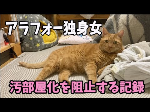 アラフォーと猫いつもの生活　掃除の記録　猫が居ればぼっちじゃない