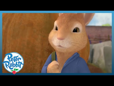 @OfficialPeterRabbit - 🐰🎃 Peter's Pumpkin 🎃🐰 | Cartoons for Kids