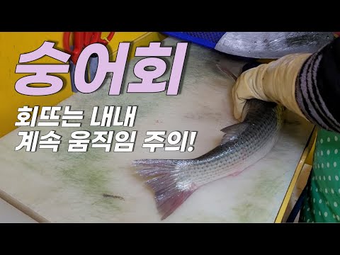 숭어 회뜨기, 회뜨는 법(영상)