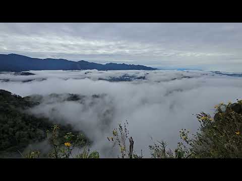 馬那邦山（小百岳）冬季雨後的山嵐海+倒掛雲海3