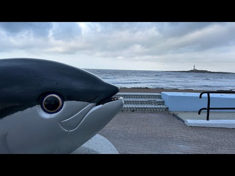 【大間マグロ食べ歩き3軒】おおま温泉海峡保養センターに泊まってマグロを食べまくってきました