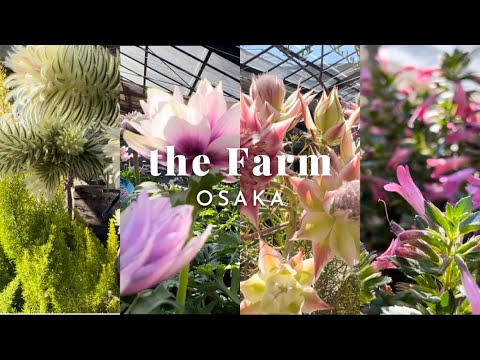 【the Farm】春のトレンド苗が見逃せない！春色に癒された園内散歩