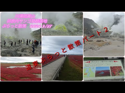 川湯硫黄山！卯原内サンゴ草群落地ぶらっと散策【過走行ワゴンRで走り回り動画撮ってます】まだまだ走れます#硫黄山#道東#絶景