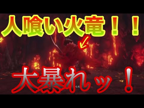 【ドラクエXI】｢人食い火竜｣ッ！誰もこいつを止められないッ！