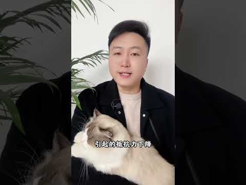 你相信，你和猫咪之间，是有缘分的吗？科学养宠攻略 新手养猫 养猫人 宠物维生素 养猫经验分享