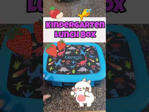 Lunch Box | Kindergarten #schoollunchbox #shorts #bentgokids