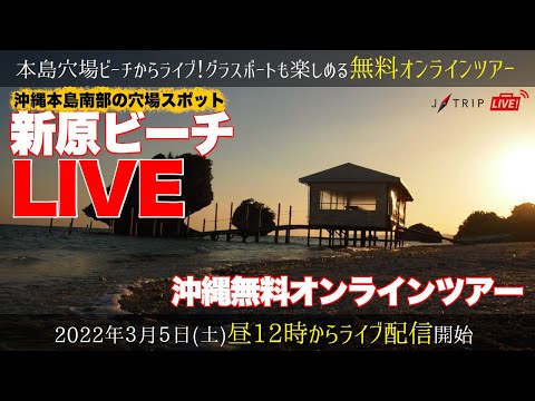 【新原ビーチ】那覇から40分で行ける天然ビーチ！グラスボートなど楽しめる白い砂浜の沖縄穴場ビーチからライブ生配信！