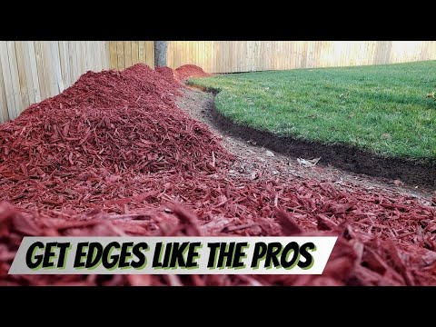 4 EASY Steps to Clean Lawn Edges