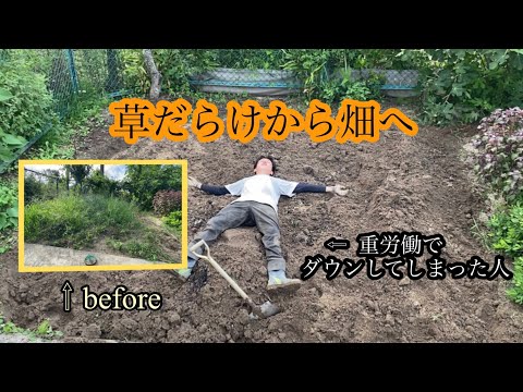 畑を任されたフリーターが奮闘？【畝立て】#開拓 #フリーター #畝立て