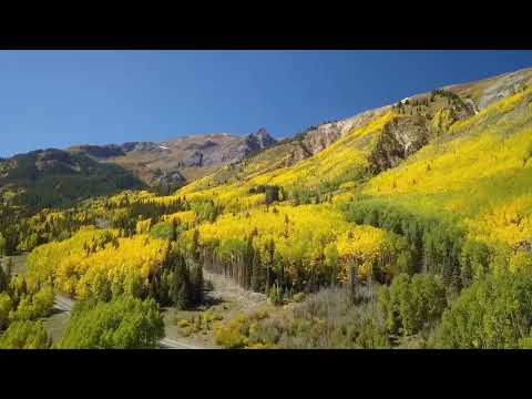 Fall Foliages in Ridgeway, Colorado, visited on 9-29-2023. Day 3-C